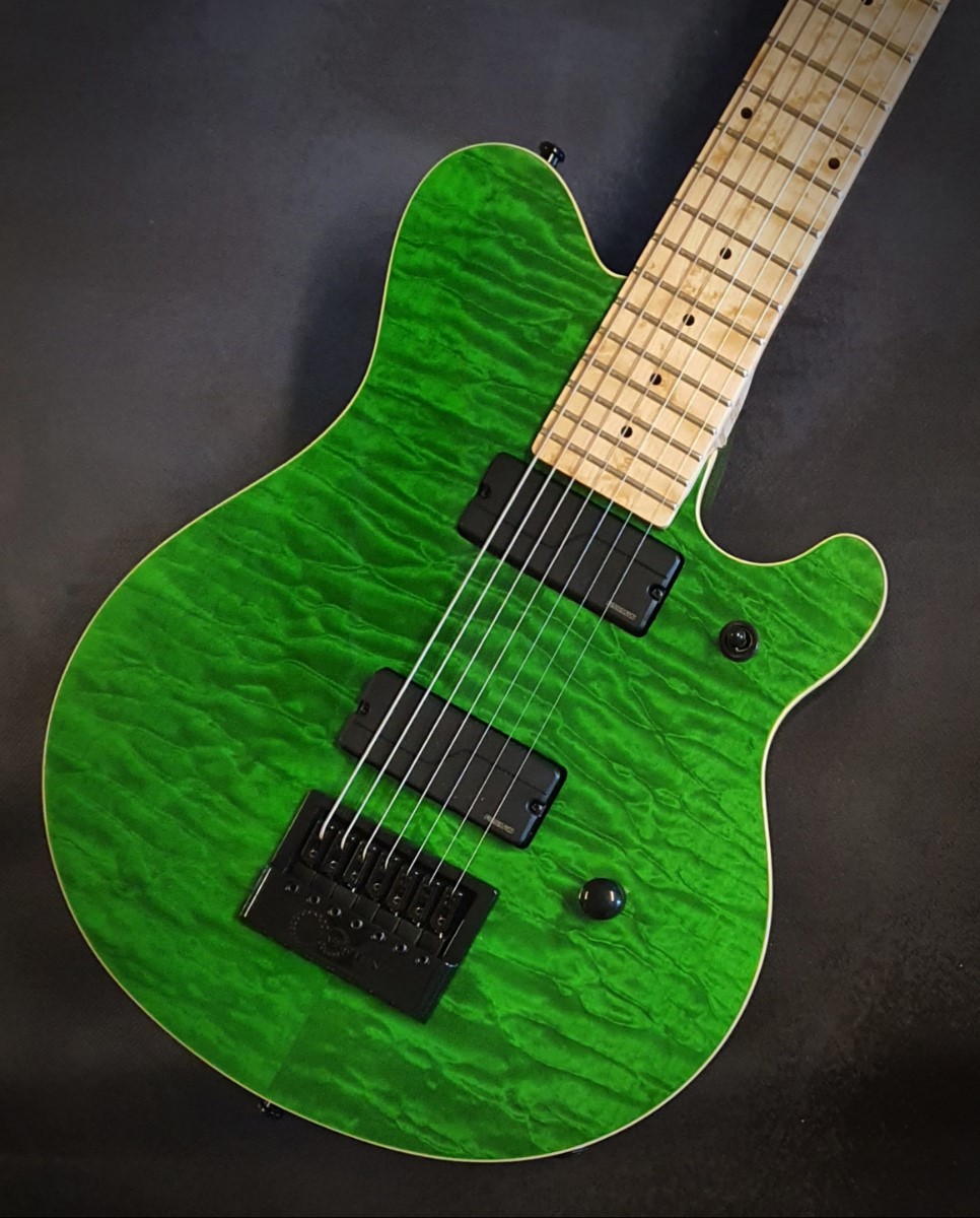 Vox humana guitars deals