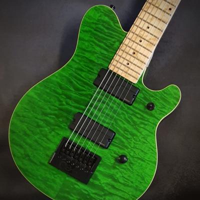 Vox Humana Custom Build Carbontech Electric 7 String Evertune 1